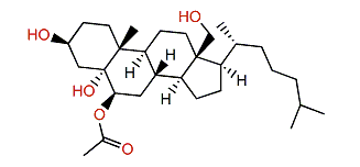 6b-Acetoxycholestane-3b,5a,18-triol